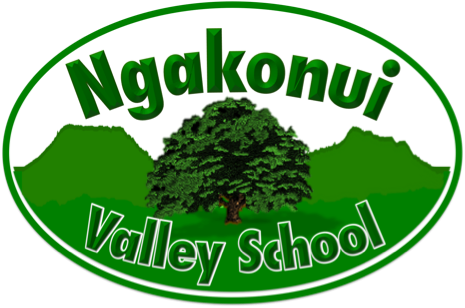 Ngakonui Valley School